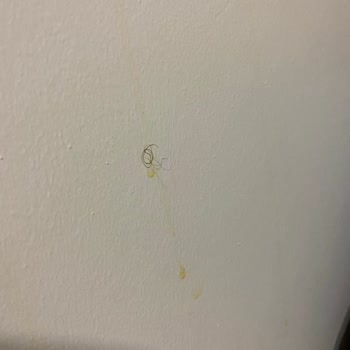 Hastalık Satan Otel : İstanbul Ümraniye Zin D Home Dudullu Suits Otel