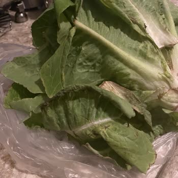 A101 Bozuk Ürün Şikayeti