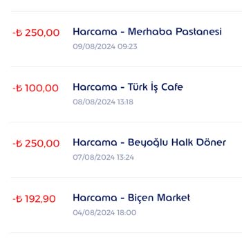 Ticket Restaurant Para Uçtu Gitti Kendi Kendine