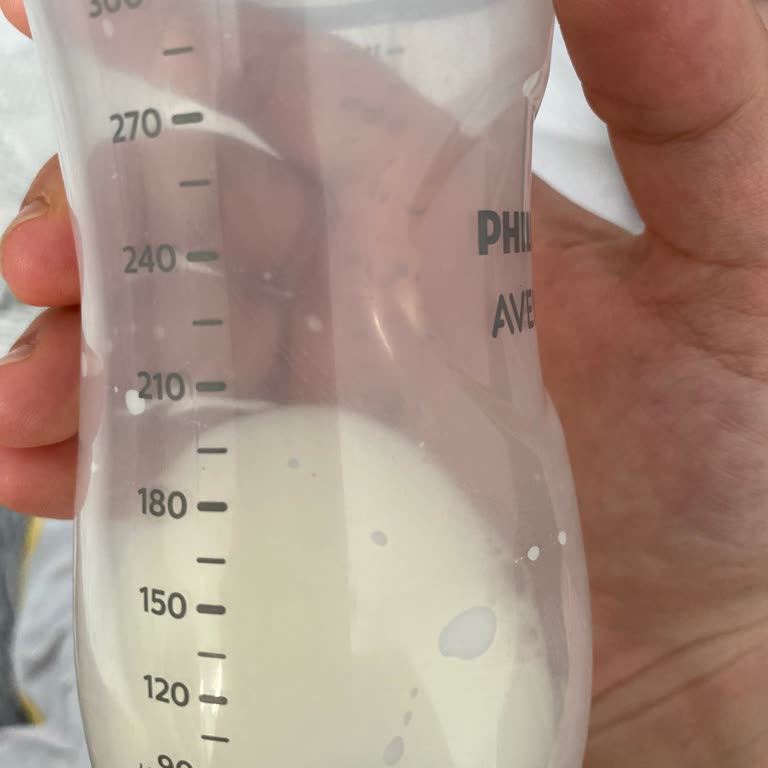 PHILIPS Ev Aletleri Philips Avent Biberon