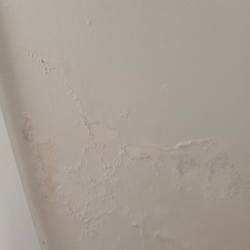 NaturalDecor Natural Dekor Sıfır Daire Şikayet