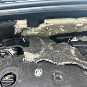 Peugeot 2008 Kaput İzolatör Kemirgen Hayvan Tarafından Yenmesi
