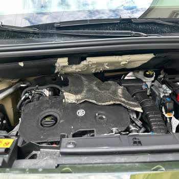 Peugeot 2008 Kaput İzolatör Kemirgen Hayvan Tarafından Yenmesi