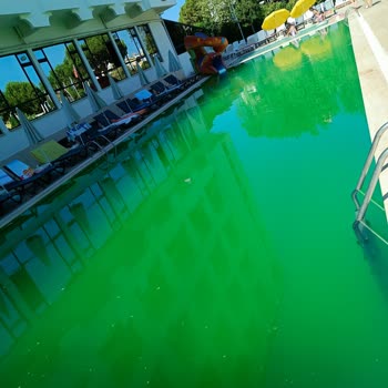 Cashmere Hotel (Kuşadası) Cashmere Otel Şikayet