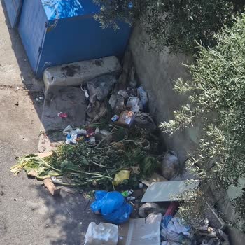 Darıca Belediyesi Çöp Toplama Hizmetindeki Eksiklikler Ve Tehlikeli Atıklar