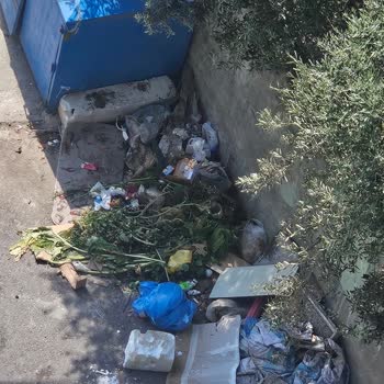 Darıca Belediyesi Çöp Toplama Hizmetindeki Eksiklikler Ve Tehlikeli Atıklar