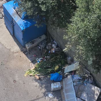 Darıca Belediyesi Çöp Toplama Hizmetindeki Eksiklikler Ve Tehlikeli Atıklar