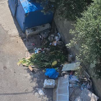 Darıca Belediyesi Çöp Toplama Hizmetindeki Eksiklikler Ve Tehlikeli Atıklar