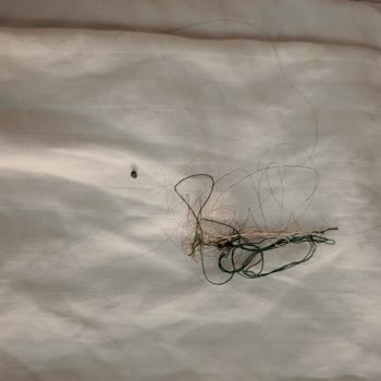 Mevlana Palace Otel'de Hayal Kırıklığı