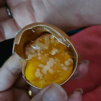 Onur Market Bozuk Gezen Yumurta Satıyor