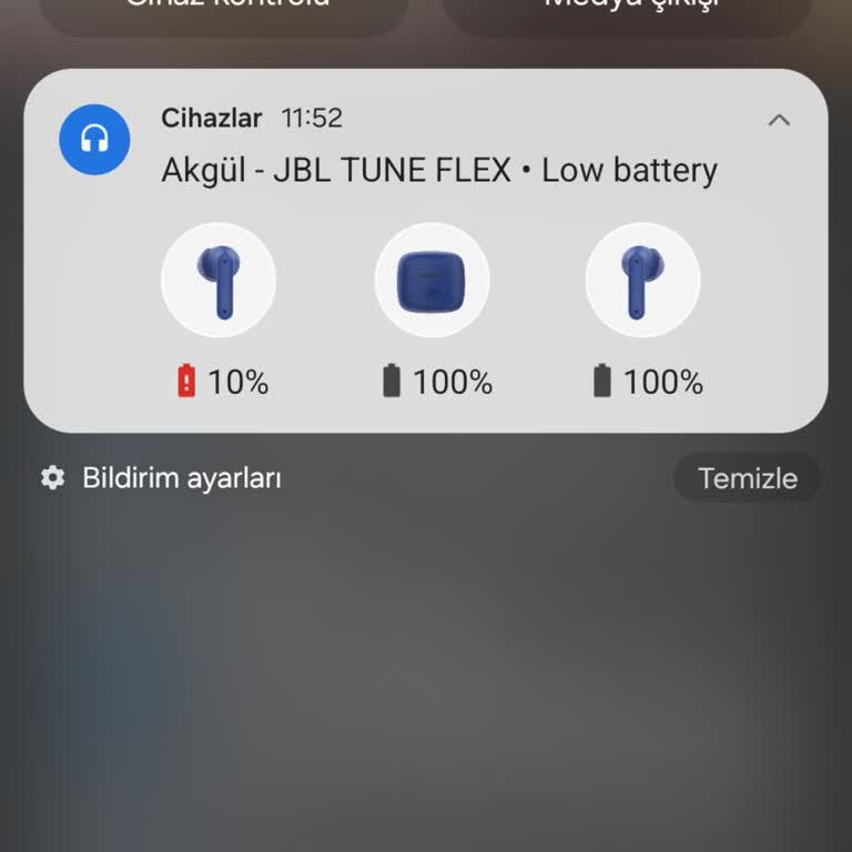 JBL Tune Flex Sol Kulaklık Şarj Sorunu
