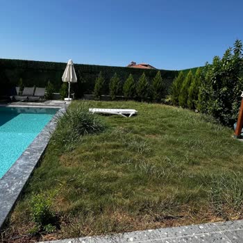 Villa Sayfam Villa Hüma Hüsranı!