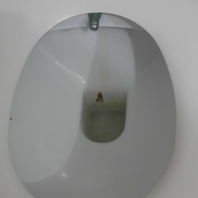 Bektaş Karagöl Otel Karadeniz Turizmini Baltalıyor