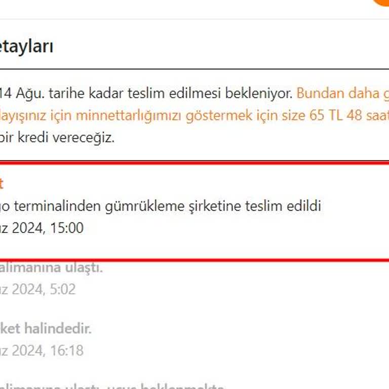 MNG Kargo'nun Temu Siparişimi Tarafıma Ulaştırmasını Bekliyorum