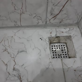 Ağaoğlu My Termal Aşırı Derecede Hijyen, Fare Ve Örümcek Sorunu Var.