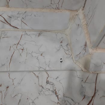 Ağaoğlu My Termal Aşırı Derecede Hijyen, Fare Ve Örümcek Sorunu Var.