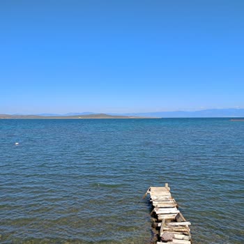 Çakistess Cunda Şikayetim Var