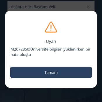 Proliz Yazılım Üni Bil Yük