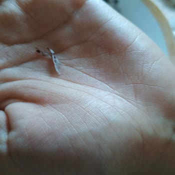 Eti Gıda Eti Nero Şikayet Var