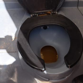 What A Fest (waf) Kainatın En Kötü Festivali