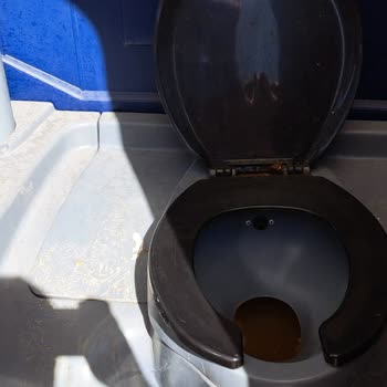 What A Fest (waf) Kainatın En Kötü Festivali