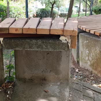 Ataşehir Belediyesi Ataşehir'de Yeşil Alanların Yok Edilmesi Ve Bakımsızlık