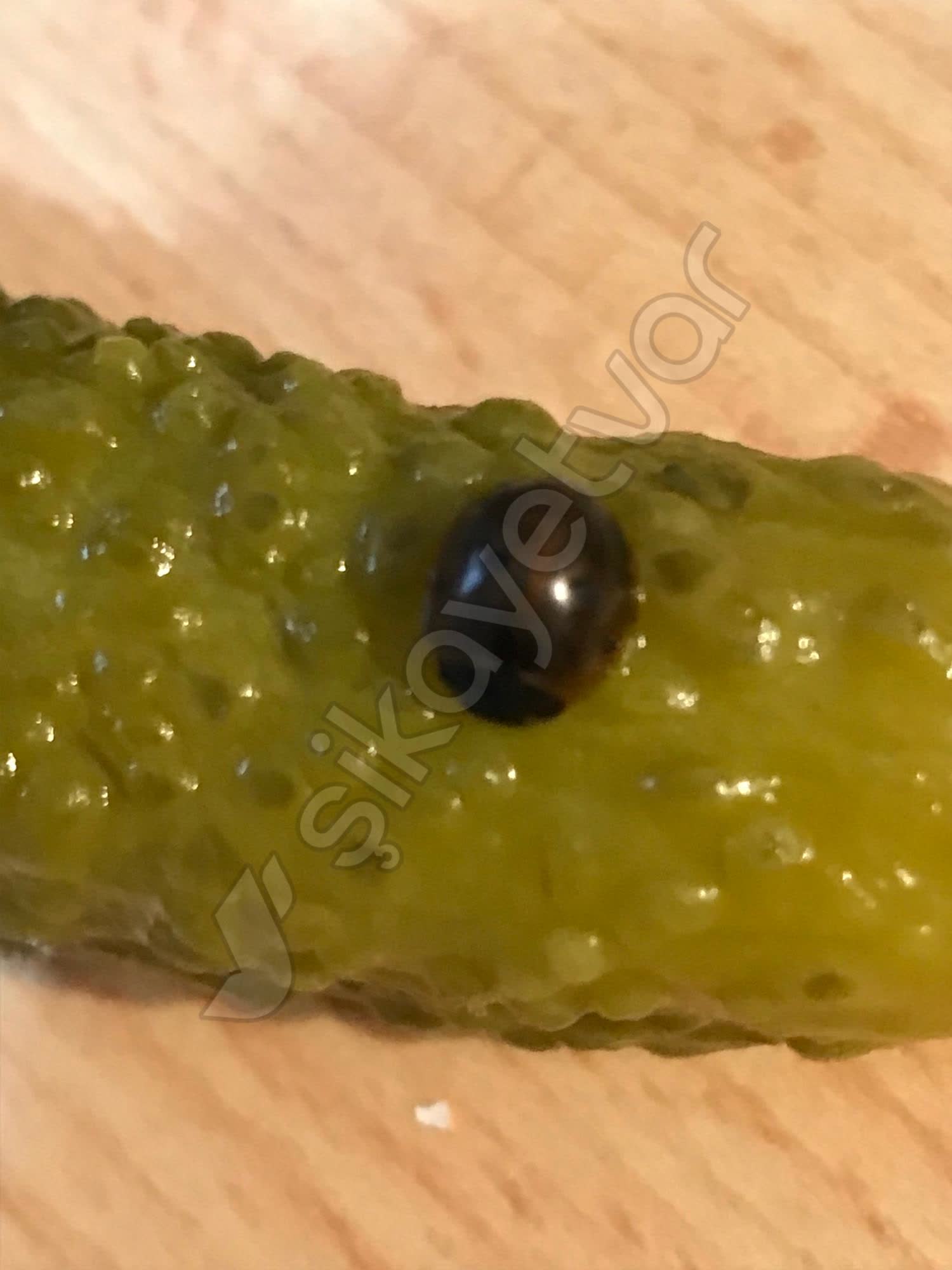 Jinsiy orqasidan becerdin