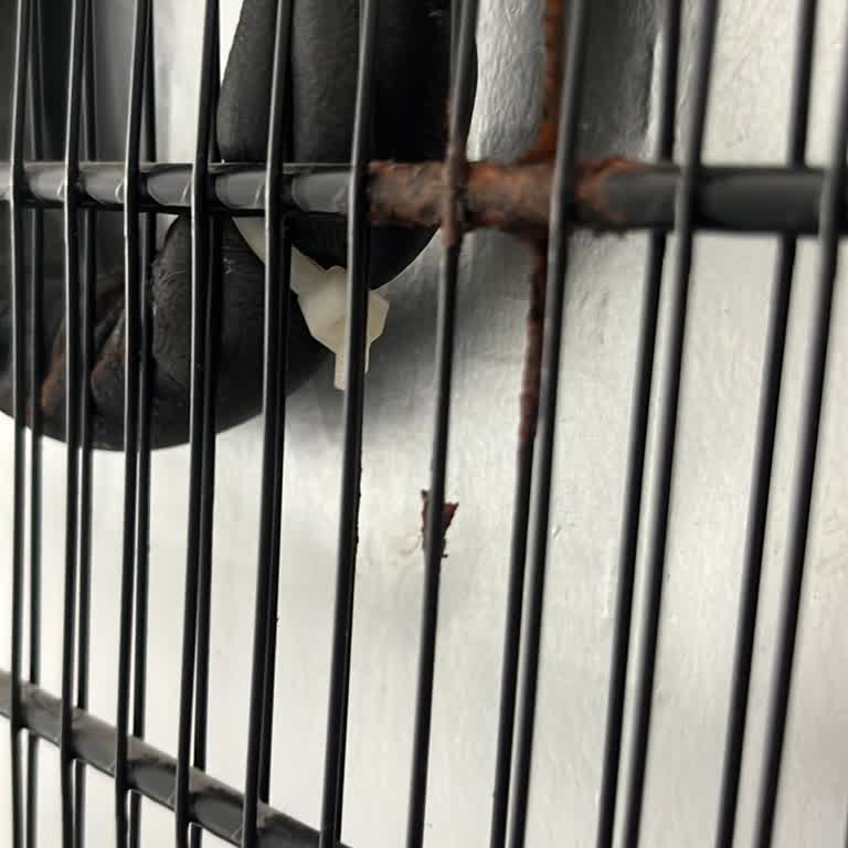 Beko Derin Dondurucu Arızası