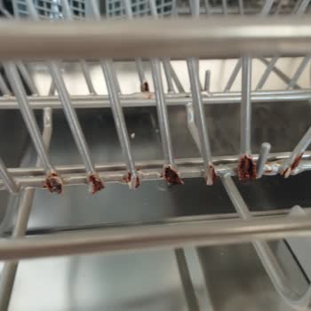 Samsung Bulaşık Makinesi Sepeti Paslandı