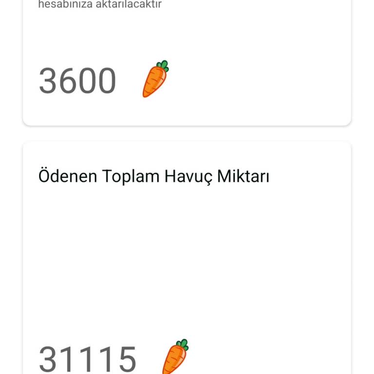 Havucum Ödeme Sorunu Ve Gecikmesi