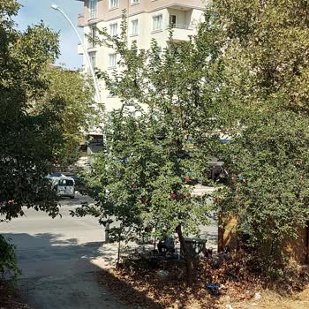 Kocaeli Gebze Belediyesi Halkı Mağdur Ediyor