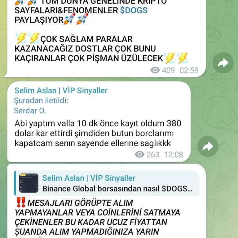 Binance Telegram'da Şüpheli Token Pazarlama Faaliyeti