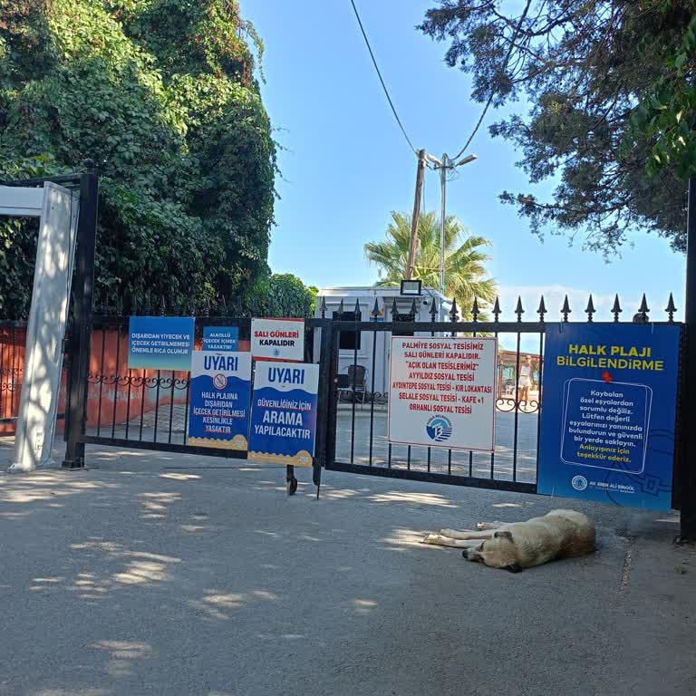 Tuzla Belediyesinde Plaja Alınmama