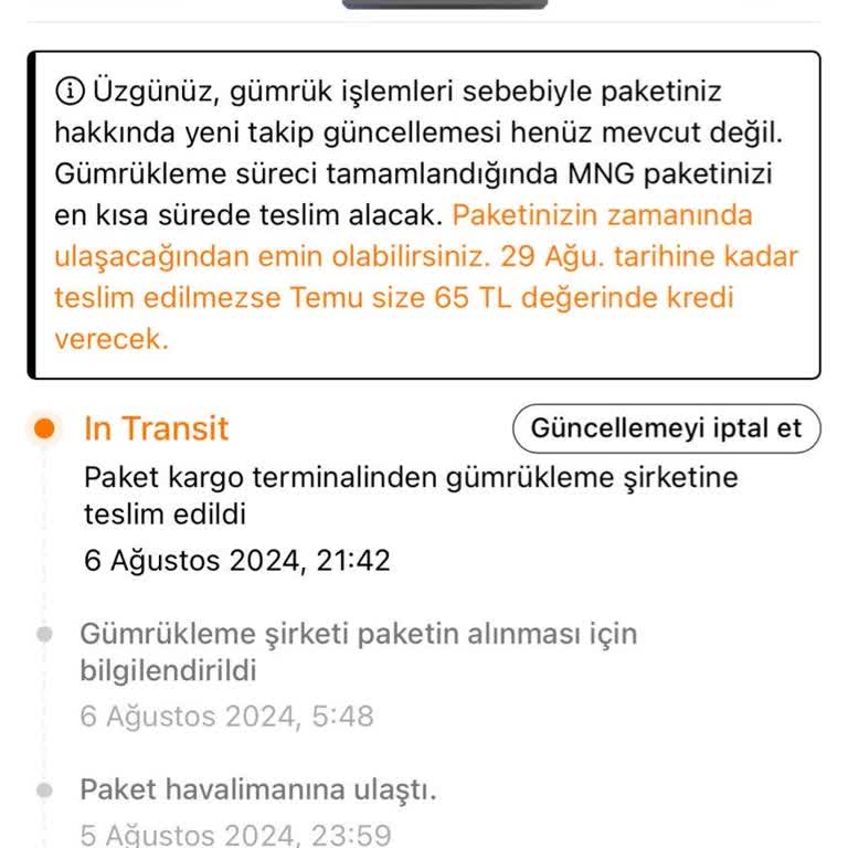 Temu Gümrük Sorunu Yaşıyorum
