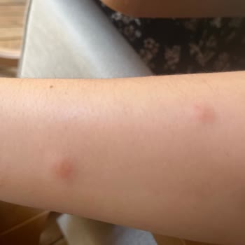 Detan Sinek Tableti: Beklentileri Karşılamayan Ürün