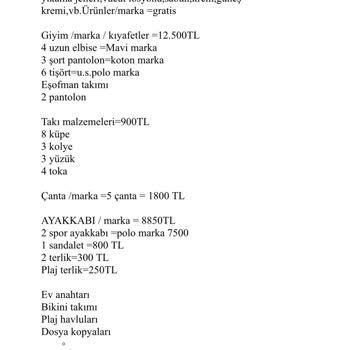 Türk Hava Yolları Kayıp Bagaj