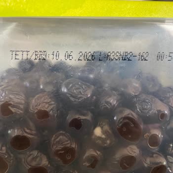 Tukaş Sele Zeytin Küf Oluşumu