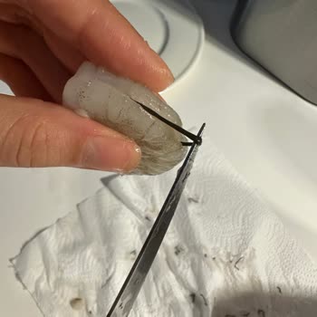 Rozen Sea Food Temizlenmiş Denilen Ama Temizlenmeden Satılan Rozen Marka Karides