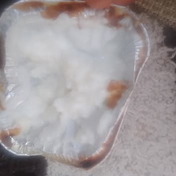 Osmanoğlu BİM Sütlaç Kalitesiz Ürün