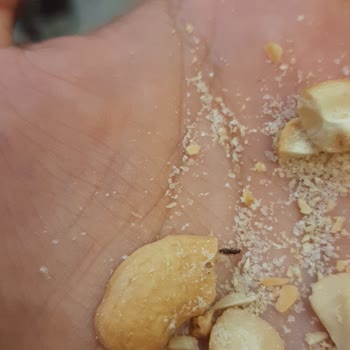 Tadım Kaju Da Böcek Çıktı