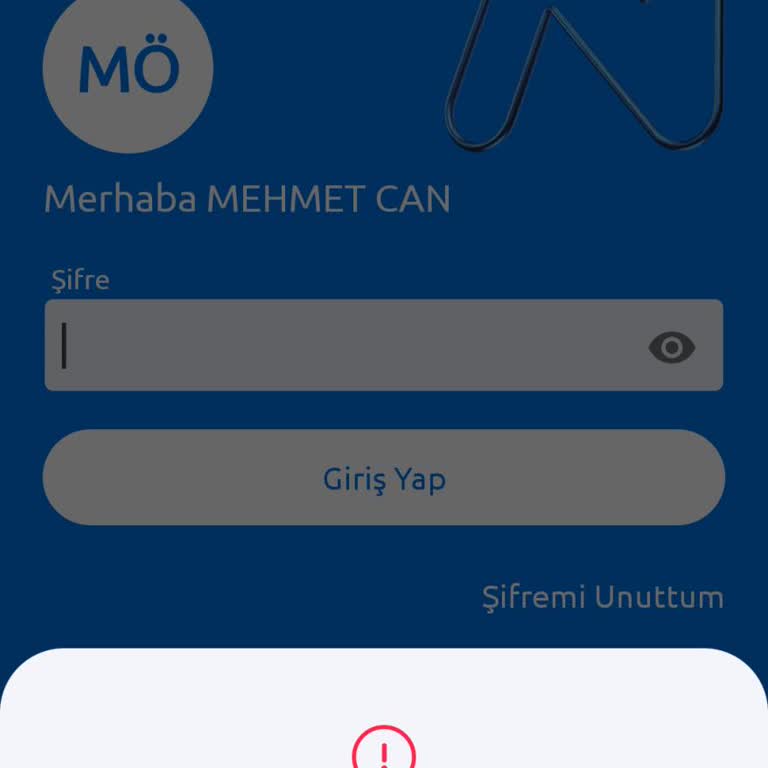 Nkolay Kısıtlama Yedim Yardımcı Olmanızı İstiyorum