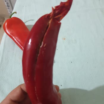 Migros Hemen Den Gelen Çürük Ürünler