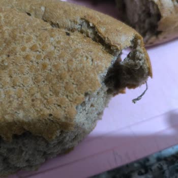 2000 Ekmek Gıda Ekmekten Çıkan Şok Edici Yabancı Madde