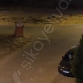 Aydın Büyükşehir Belediyesi Köpekler Saldırıyor Ve Çok Korkuyoruz