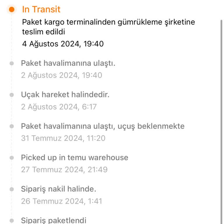 Temu MNG Kargo Siparişimi Gümrükte Bekletiyor