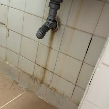 09 Çoban Pansiyon Gördüğüm En Kötü Yer