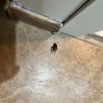 Risa Hotel Temizlik Ve Hizmet Kalitesi Konusunda Hayal Kırıklığı