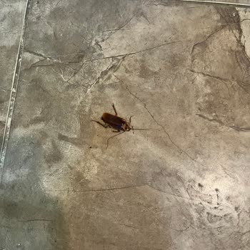 Risa Hotel Temizlik Ve Hizmet Kalitesi Konusunda Hayal Kırıklığı