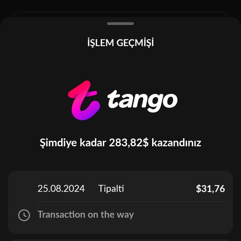 PayPal Paranın Gelmemesi Hesaba