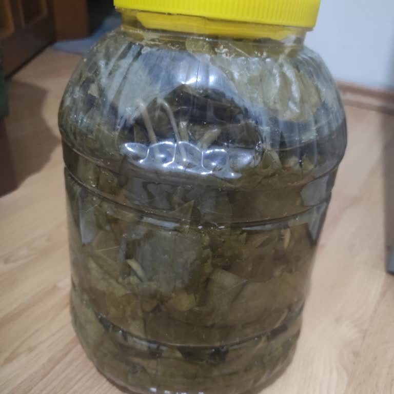 Egeden_dogal_gelsin (Instagram) Sevimsizler İnsan Gibi Görünmeye Çalışanlar